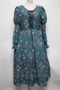 画像1: axes femme Nostalgic / ボタニカル柄レースアップワンピース  グリーン S-25-04-12-061-LO-OP-HR-ZS