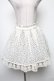 画像1: axes femme / スカート   S-25-04-15-075-AX-SK-HR-ZS (1)