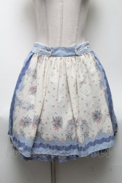 画像1: axes femme / 鳥かごプリントスカート  オフｘサックス S-25-04-19-071-AX-SK-HR-ZS