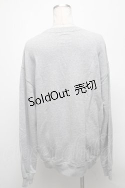 画像2: Karl Helmut / スウェット  グレー S-25-04-25-004-EL-TO-AS-ZT412