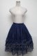 画像1: ATELIER PIERROT / Ruffle Chiffon Skirt-Lace-  ブルー S-25-05-05-1050-EL-SK-HR-ZS (1)