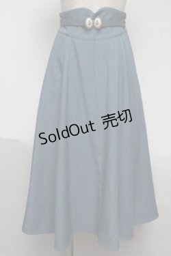 画像1: an another angelus / アンティークローズカメオベルト付きスカート  ブルー S-25-06-04-048-CA-SK-AS-ZS