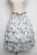 画像1: Jane Marple / Liberty Bonjourスカート  白ｘ青 S-25-06-07-042-JM-SK-AS-ZS (1)