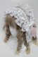 画像1: metamorphose / Fairyレースフリルヘッドドレス  白 S-25-06-24-001-ME-AC-HR-ZS (1)