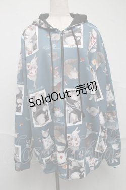 画像1: Royal Princess Alice / Cat in Wonderlandねこ助コラボパーカー  グリーン S-25-07-10-030-LO-TO-AS-ZS