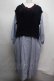 画像1: Jane Marple Dans Le Salon / Tilden vest and stripe trompe-l'oeil dress  サックスｘ紺 S-25-07-16-039-JM-OP-AS-ZS (1)