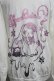 画像3: ALGONQUINS / 後ろプリントパーカー  オフ S-25-07-17-023-AL-TO-AS-ZS (3)