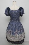 画像2: axes femme / 馬車柄ワンピース  ブルー S-25-07-20-041-AX-OP-HR-ZT390 (2)