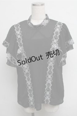画像1: axes femme NOSTALGIE / 刺繍シースルートップス  黒 S-25-07-26-025-AX-BL-HR-ZI