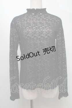 画像1: axes femme POETIQUE / 長袖シアーレーストップス  黒 S-25-07-30-024-AX-TO-HR-ZI