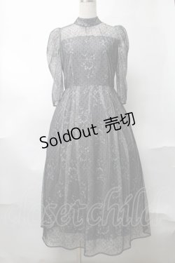 画像1: axes femme / ドットチュールxレースドレス  グレー S-25-08-17-049-AX-TO-AS-ZS