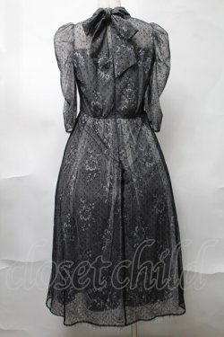 画像2: axes femme / ドットチュールxレースドレス  グレー S-25-08-17-049-AX-TO-AS-ZS