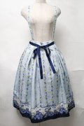 axes femme / ネモフィラ＆ポピー柄スカート  サックス S-25-08-17-051-AX-SK-AS-ZS