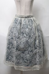 axes femme / 繊細フロッキーミディスカート   S-25-08-17-052-AX-SK-AS-ZS