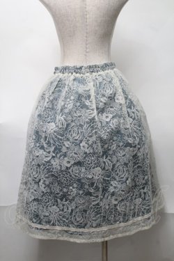 画像2: axes femme / 繊細フロッキーミディスカート   S-25-08-17-052-AX-SK-AS-ZS