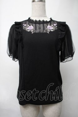 画像1: axes femme / バラ刺繍チュール袖プルオーバー  黒 S-25-08-17-023-AX-TO-HR-ZS