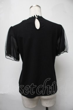画像2: axes femme / バラ刺繍チュール袖プルオーバー  黒 S-25-08-17-023-AX-TO-HR-ZS