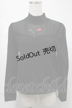 画像1: Jamie エーエヌケー / バラ刺繍トップス  黒 S-25-08-21-046-LO-TO-AS-ZT504