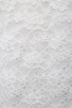 画像3: LOLITA / 総レーストップス  白 S-25-09-10-012-LO-TO-HR-ZS