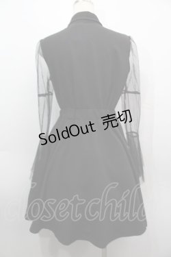 画像2: NieR Clothing / 刺繍チュール袖ワンピース  黒 S-25-09-11-044-PU-OP-HR-ZI