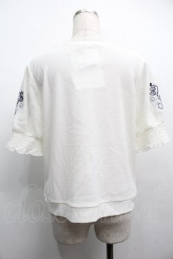 画像2: axes femme / ラメール刺繍トップス  キナリ S-25-09-11-015-AX-TO-HR-ZS