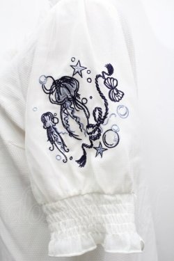 画像4: axes femme / ラメール刺繍トップス  キナリ S-25-09-11-015-AX-TO-HR-ZS