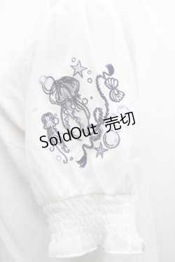 画像4: axes femme / ラメール刺繍トップス  キナリ S-25-09-11-015-AX-TO-HR-ZS