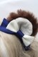 画像3: Angelic Pretty / Sweet Bearスカートセットのカチューシャ  紺 S-25-09-12-024-AP-OP-HR-ZS (3)