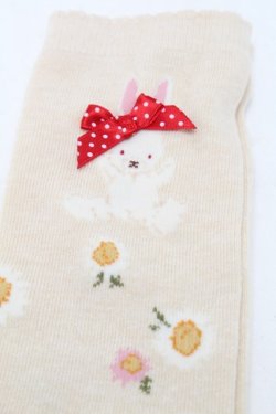 画像3: PINK HOUSE / 雛菊ロンドソックス  アイボリー S-25-09-23-1054-LO-ZA-HR-ZS