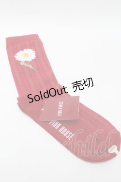画像2: PINK HOUSE / ひなぎくモチーフソックス  赤 S-25-09-23-1022-LO-ZA-HR-ZS