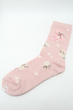 画像1: PINK HOUSE / 桜Teddyソックス  ピンク S-25-09-23-1027-LO-ZA-HR-ZS