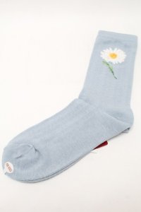 PINK HOUSE / ひなぎくモチーフソックス  サックス S-25-09-23-1029-LO-ZA-HR-ZS