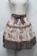 画像1: axes femme POETIQUE / ローズスカート  オフ S-25-10-01-056-AX-SK-AS-ZS (1)