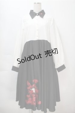 画像1: Favorite / 彼岸花ワンピース  黒 S-25-10-08-064-LO-TO-AS-ZS