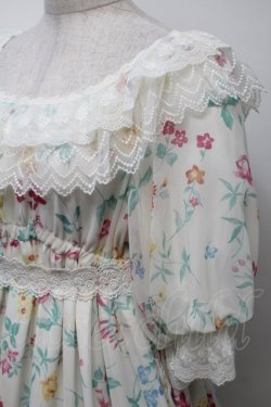画像3: Angelic Pretty / Botanical Gardenワンピース  オフ S-25-10-24-024-AP-OP-AS-ZT304