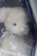 画像4: Moi-meme-Moitie / ヴァンパイアテディベア 棺桶BOX付き  白 S-25-10-24-1004-MO-ZA-AS-ZS (4)