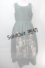 axes femme NOSTALGIE / 薔薇パネル柄ジャンスカ  グリーン S-25-10-29-045-AX-OP-AS-ZS