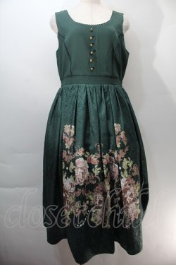 画像1: axes femme NOSTALGIE / 薔薇パネル柄ジャンスカ  グリーン S-25-10-29-045-AX-OP-AS-ZS