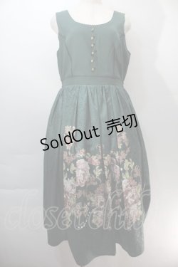 画像1: axes femme NOSTALGIE / 薔薇パネル柄ジャンスカ  グリーン S-25-10-29-045-AX-OP-AS-ZS