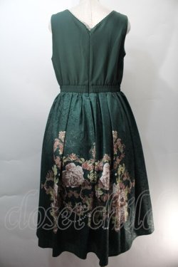 画像2: axes femme NOSTALGIE / 薔薇パネル柄ジャンスカ  グリーン S-25-10-29-045-AX-OP-AS-ZS