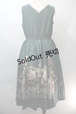 画像2: axes femme NOSTALGIE / 薔薇パネル柄ジャンスカ  グリーン S-25-10-29-045-AX-OP-AS-ZS