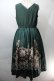 画像2: axes femme NOSTALGIE / 薔薇パネル柄ジャンスカ  グリーン S-25-10-29-045-AX-OP-AS-ZS (2)