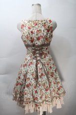 画像2: Victorian maiden / オールドローズフリルドレス  オフ S-25-10-30-1009-CL-OP-AS-ZS (2)