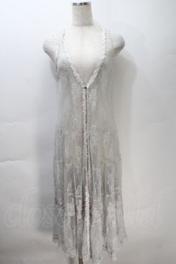 画像1: axes femme / 総レースロングジレ  グレー S-25-10-30-013-AX-TO-HR-ZS