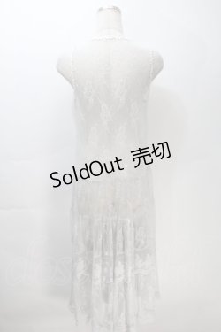 画像2: axes femme / 総レースロングジレ  グレー S-25-10-30-013-AX-TO-HR-ZS