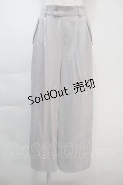 画像1: axes femme / 後カーゴポケットサテンパンツ  グレー S-25-11-03-054-AX-PA-HR-ZS