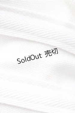 画像5: abilletage / レースプリントコルセット 4 オフ S-25-11-07-007-GO-TO-AS-ZS