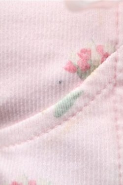 画像3: Bon21Hiz / カップ付きレースビスチェ  ピンク S-25-11-07-015-LO-BL-HR-ZS