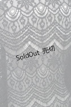 画像3: axes femme / ロング丈レースガウン  黒 S-25-11-07-019-AX-TO-HR-ZS