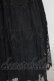 画像4: ANNA SUI / 刺繍レースワンピース  黒 S-25-11-12-052-PU-OP-AS-ZS (4)